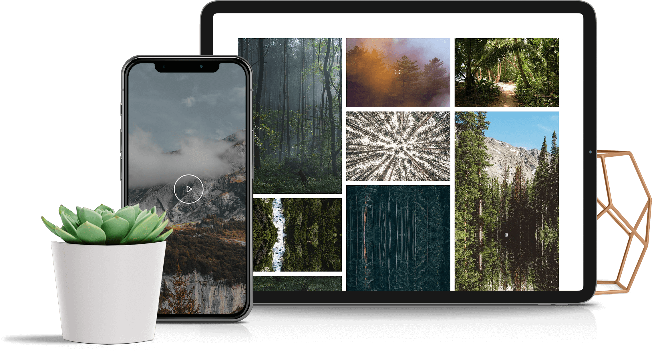 Slider & Media Integrations