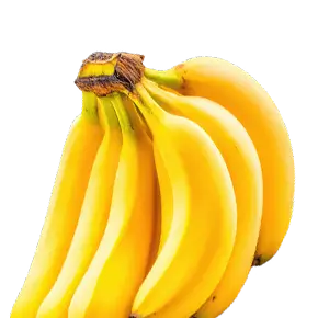 Fruits