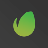 Envato Logo