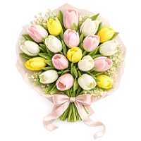 Tulips