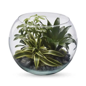Tranquil Glass Terrarium Plant Display
