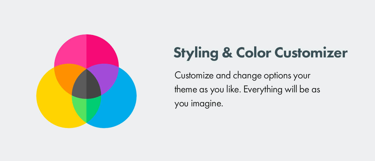 Styling and color customizer