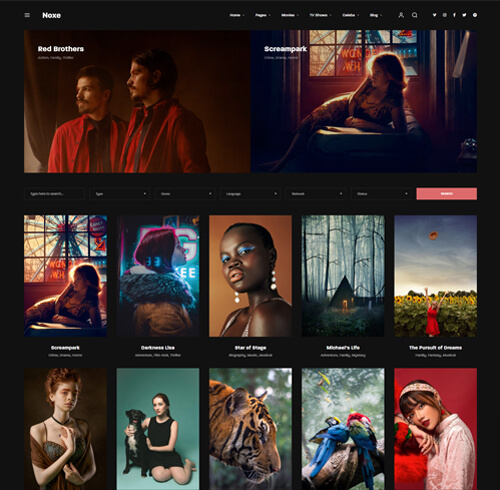 Online Film Platform