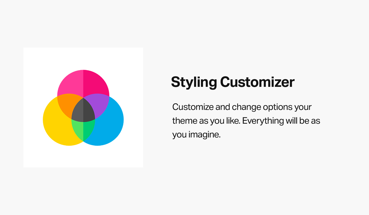 Styling Customizer